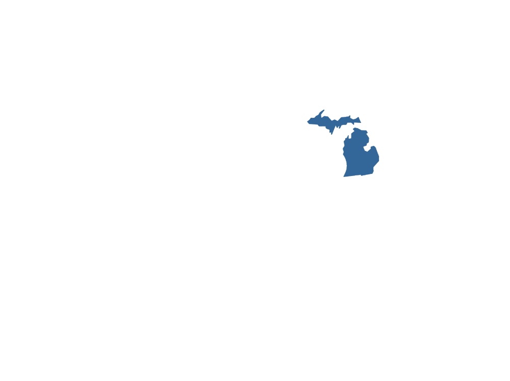 State of Michigan graphic
