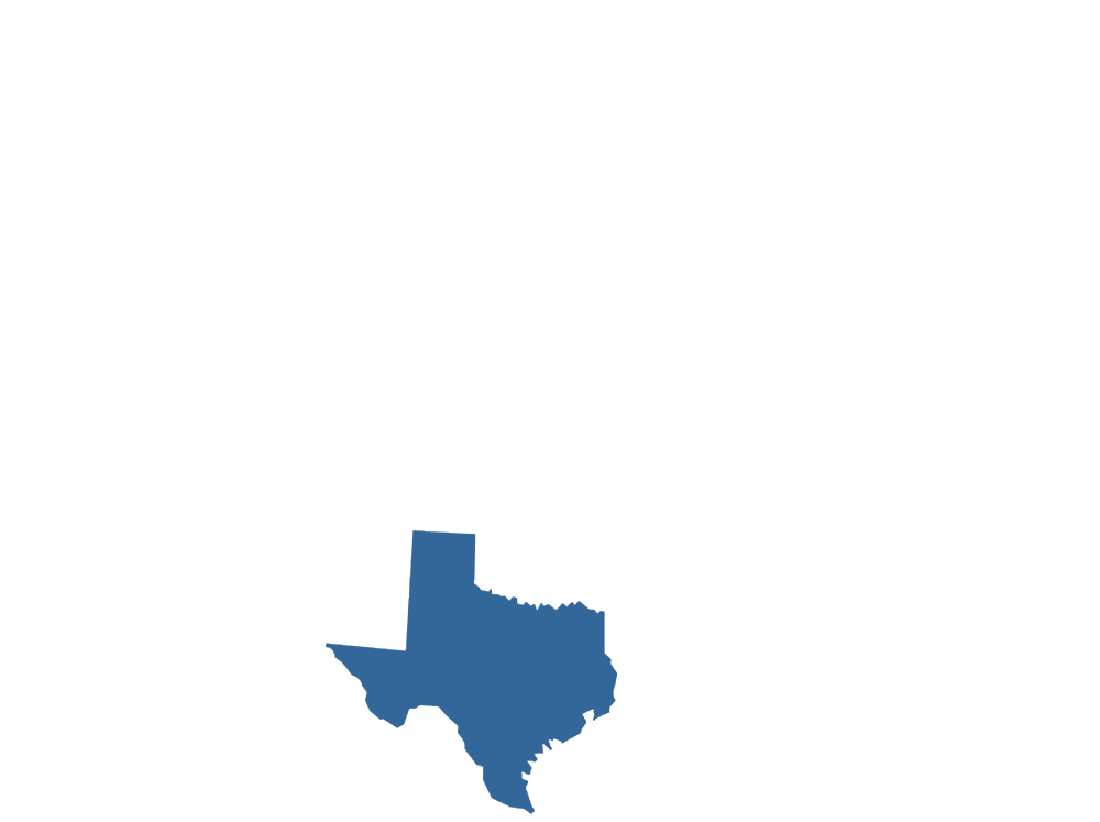 State of Texas graphic